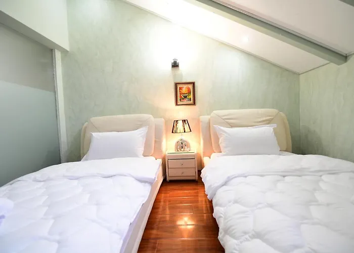 Zobo 3* Шкодер